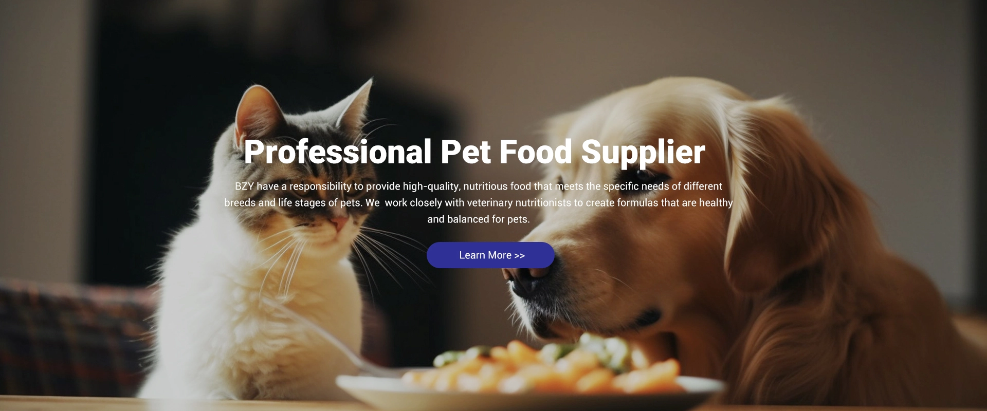 Professional Pet Food Supplier