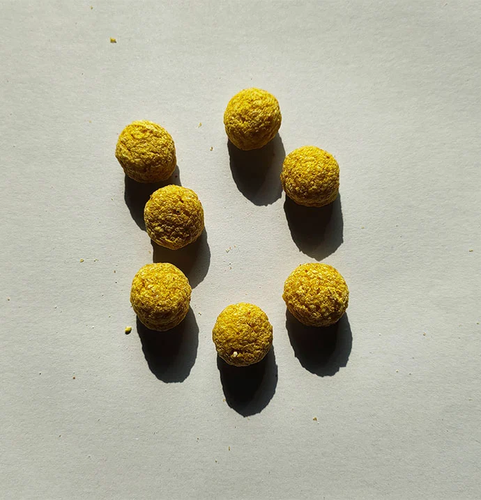 yellow popcorn kernels small pet feed1