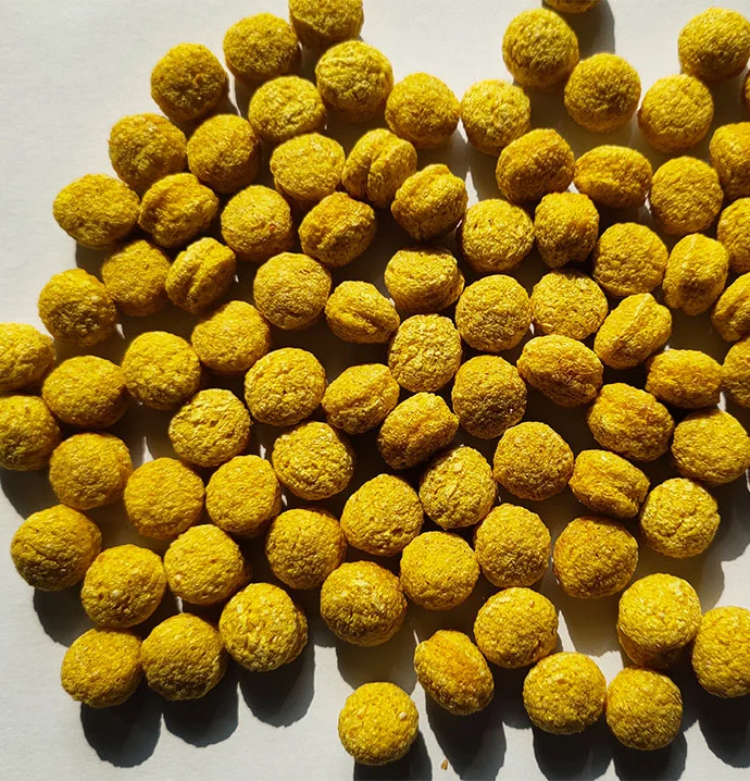 yellow popcorn kernels small pet feed2