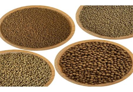 Cultivating Excellence: Extruded Fish Feed in Commercial Fish Farming