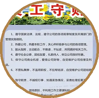 Compliance With Regulations