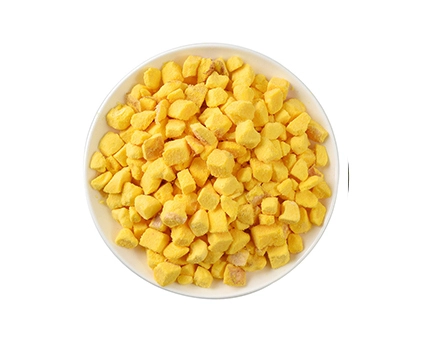 Freeze Dry Egg Yolk Cube