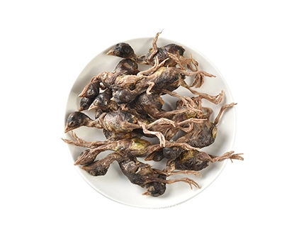 Freeze Dried Quail Dog Treats