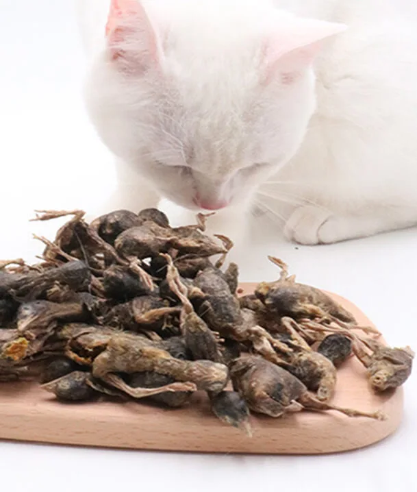 quail dog treats