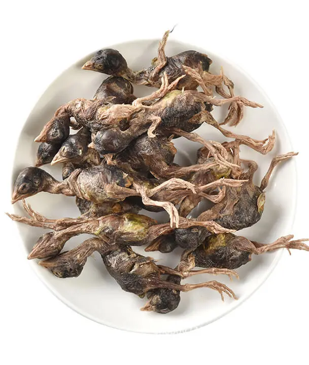 dried quail