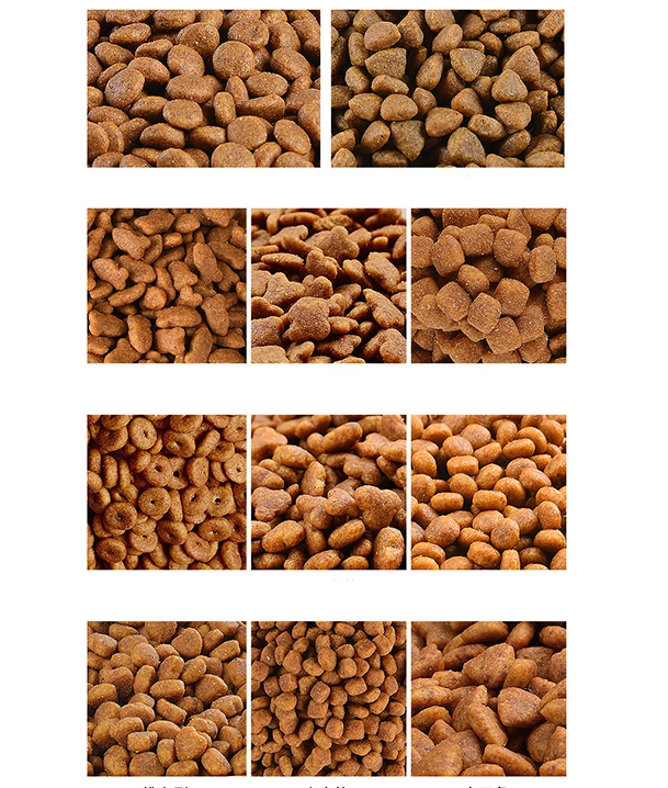 puppy dried food