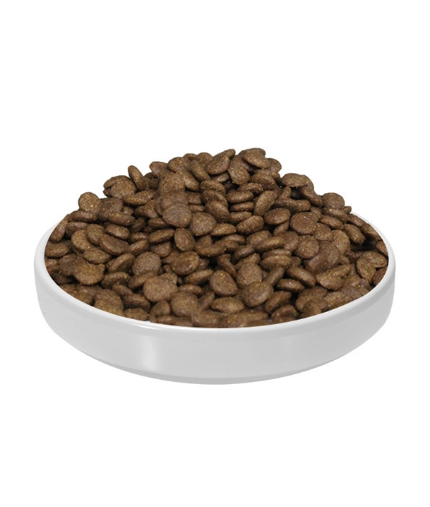 puppy dog dry food