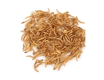 Biological Feed
