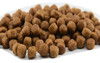 Aquatic Turtle Extruded Feed