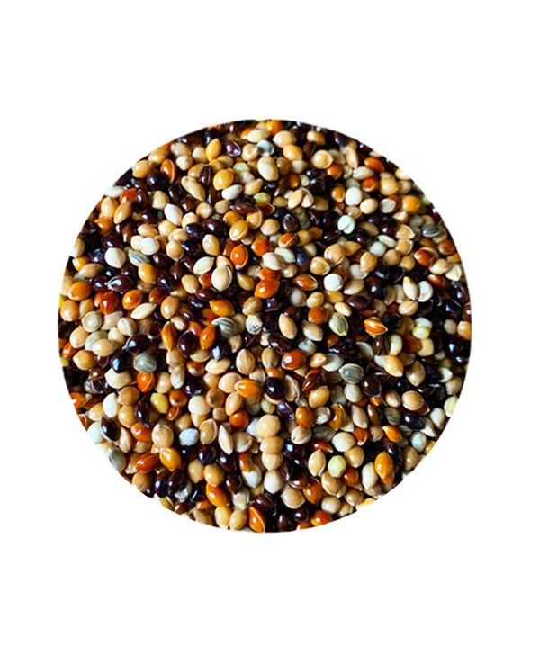 bulk millet for birds