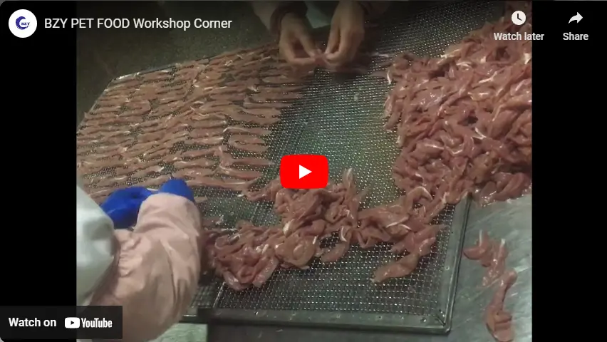 Bzy Pet Food Workshop Corner