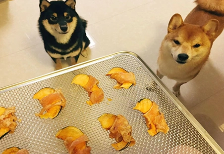 Homemade vs. Commercial Pet Food Pros and Cons