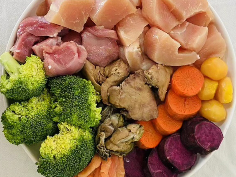 The Importance of a Balanced Diet for Your Pet Exploring the World of Pet Food