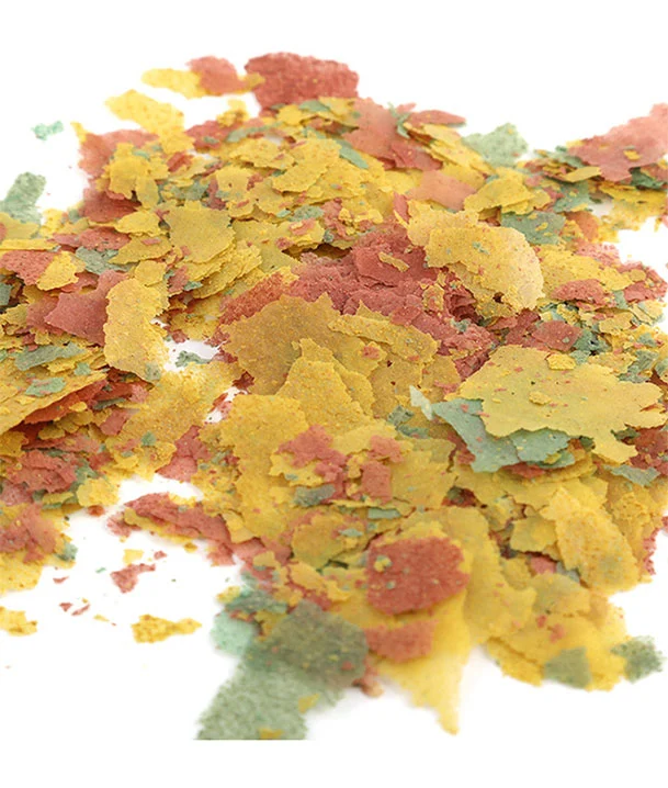 flake food for saltwater fish
