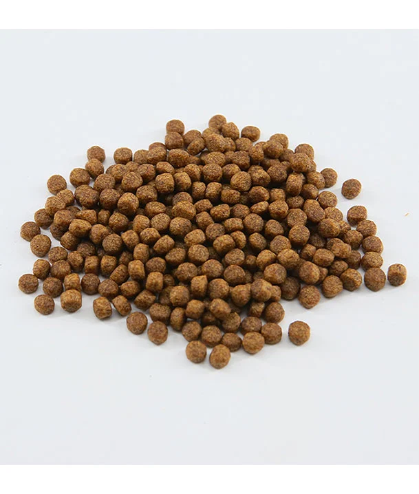 koi fish feed