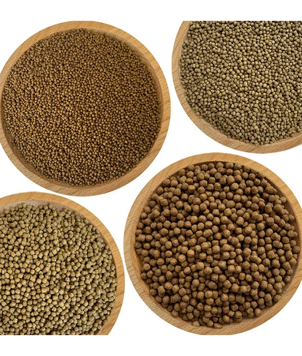 fresh water fish food