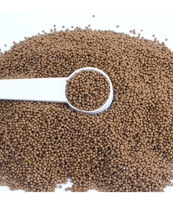 food for freshwater fish