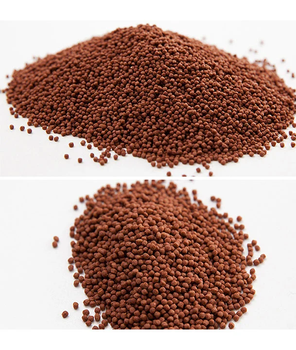 parrot fish food