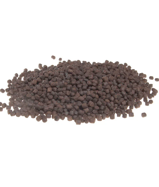 sturgeon feed