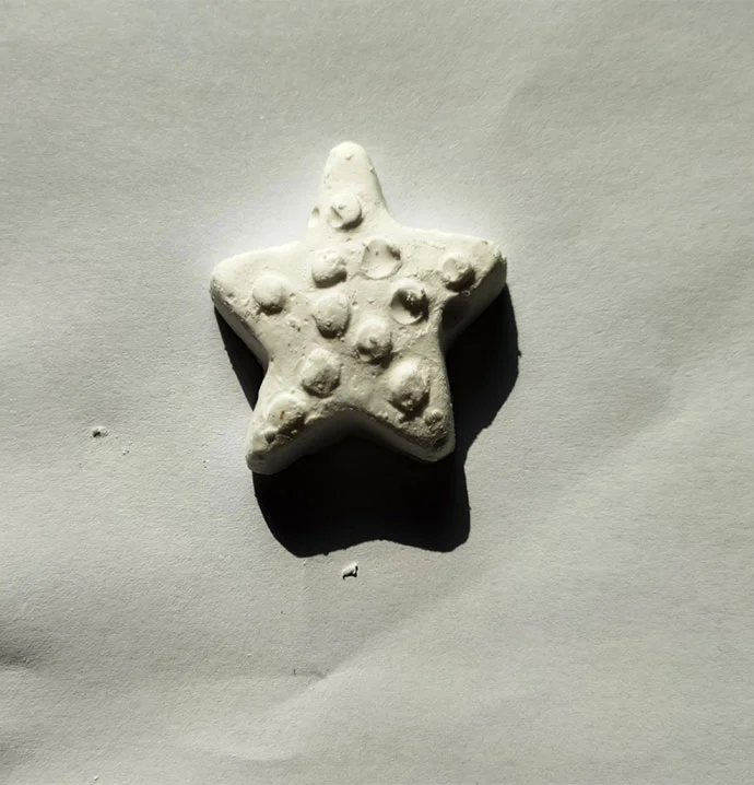 white fish feed2