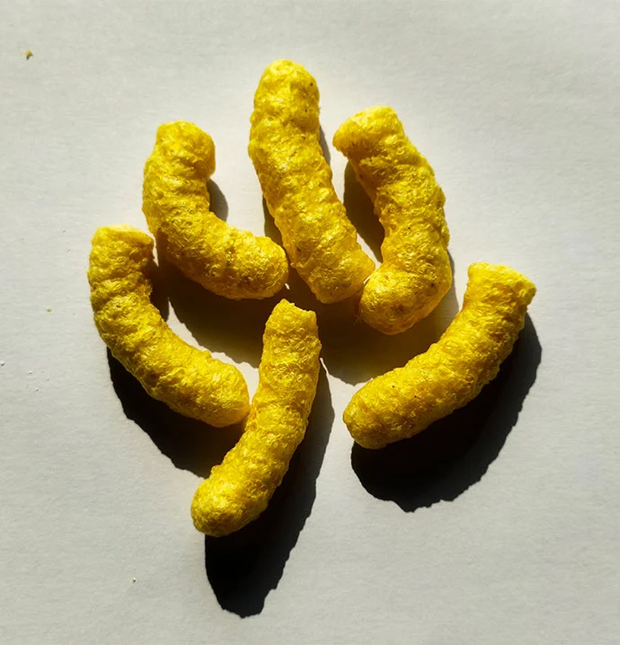 yellow popcorn small pet feed1